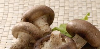 Χαλκίδα, Γιορτή μανιταριού και διεθνούς κουζίνας στις Αλυκές – Daluz