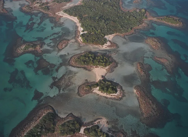 lixadinisia