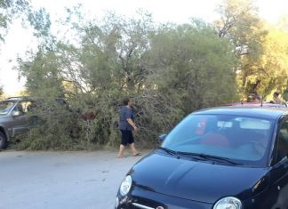 Τωρα. Έπεσε δένδρο στις συκιες πάνω σε 2 αυτοκινητα