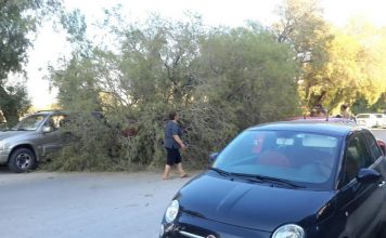 Τωρα. Έπεσε δένδρο στις συκιες πάνω σε 2 αυτοκινητα