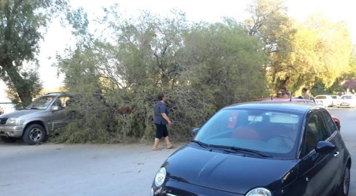 Τωρα. Έπεσε δένδρο στις συκιες πάνω σε 2 αυτοκινητα