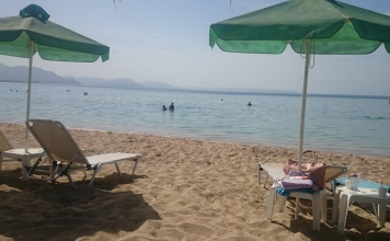 Ιπποκαμπάκι Beach bar Παραλία Αλυκές Δροσιά Χαλκίδα