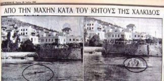 Όταν ο στρατός έδινε πραγματική μάχη με μπαζούκας και πολυβόλα κατά του… «τέρατος» της Χαλκίδας