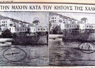 Όταν ο στρατός έδινε πραγματική μάχη με μπαζούκας και πολυβόλα κατά του… «τέρατος» της Χαλκίδας