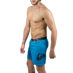 QUIKSILVER LAVALOGOVL17 M JAMV