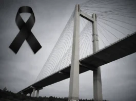 Χαλκίδα: Το έγκλημα δεν έγινε στη γέφυρα – γίνεται καθημερινά στα σπίτια