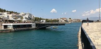 Καρναβάλι Χαλκίδας 2026: Ποιες ώρες κλείνει η Παλιά Γέφυρα – Ποιοι δρόμοι κλείνουν και πώς θα διεξάγεται η κυκλοφορία προς Κάνηθο