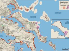 Τέλος στον φόβο για τις μωβ μέδουσες; Το φιλόδοξο πρόγραμμα του 1,5 εκατομμυρίου που «κλειδώνει» τον Βόρειο Ευβοϊκό και τον Μαλιακό