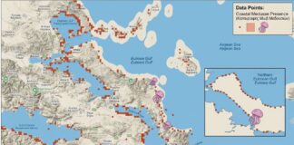 Τέλος στον φόβο για τις μωβ μέδουσες; Το φιλόδοξο πρόγραμμα του 1,5 εκατομμυρίου που «κλειδώνει» τον Βόρειο Ευβοϊκό και τον Μαλιακό