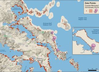 Τέλος στον φόβο για τις μωβ μέδουσες; Το φιλόδοξο πρόγραμμα του 1,5 εκατομμυρίου που «κλειδώνει» τον Βόρειο Ευβοϊκό και τον Μαλιακό
