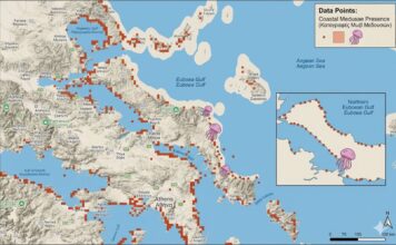 Τέλος στον φόβο για τις μωβ μέδουσες; Το φιλόδοξο πρόγραμμα του 1,5 εκατομμυρίου που «κλειδώνει» τον Βόρειο Ευβοϊκό και τον Μαλιακό