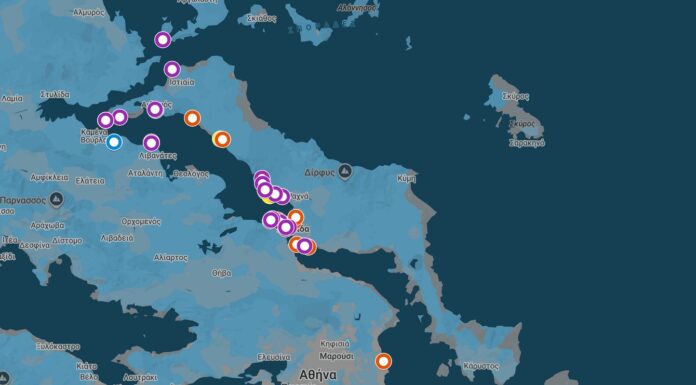 Live Χάρτης: Που έχει τσούχτρες, μωβ μέδουσες στη Χαλκίδα και όλη την Εύβοια χαρτης με μωβ μεδουσες στην ΕΥβοια