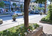 Οργή στη Χαλκίδα: Μετέτρεψαν το δικαστικό μέγαρο σε απέραντη χωματερή μετά από δίκη – Η εικόνα που προκαλεί αντιδράσεις