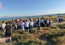Όταν τα παιδιά «ξυπνούν» την ιστορία της Εύβοιας: Το μυστικό που αποκαλύφθηκε στο Ληλάντιο και συγκίνησε τους πάντες!