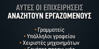 Ανοιχτές θέσεις εργασίας σε βιομηχανίες και επιχειρήσεις σε Οινόφυτα και Σχηματάρι – Πού θα στείλετε βιογραφικό