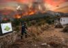 Οικόπεδα-«βόμβες» στην Εύβοια: Οδηγός επιβίωσης για ιδιοκτήτες – Η προθεσμία του Ιουνίου, οι 4 κατηγορίες SOS και οι ψευδείς δηλώσεις