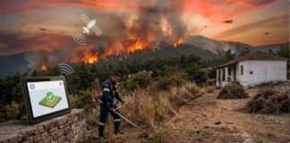 Οικόπεδα-«βόμβες» στην Εύβοια: Οδηγός επιβίωσης για ιδιοκτήτες – Η προθεσμία του Ιουνίου, οι 4 κατηγορίες SOS και οι ψευδείς δηλώσεις