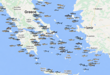 Τι συμβαίνει με τους καρχαρίες στην Ελλάδα: Κάθε πότε επιτίθενται και ποιες περιοχές προτιμούν