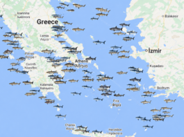 Τι συμβαίνει με τους καρχαρίες στην Ελλάδα: Κάθε πότε επιτίθενται και ποιες περιοχές προτιμούν