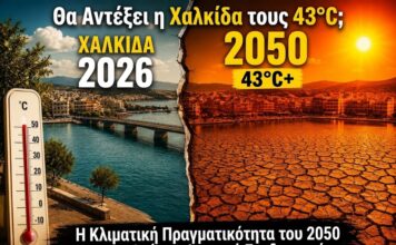 Θα αντέξει η Χαλκίδα τους 43°C; Η κλιματική πραγματικότητα του 2050 και η ανάγκη αστικού σχεδιασμού